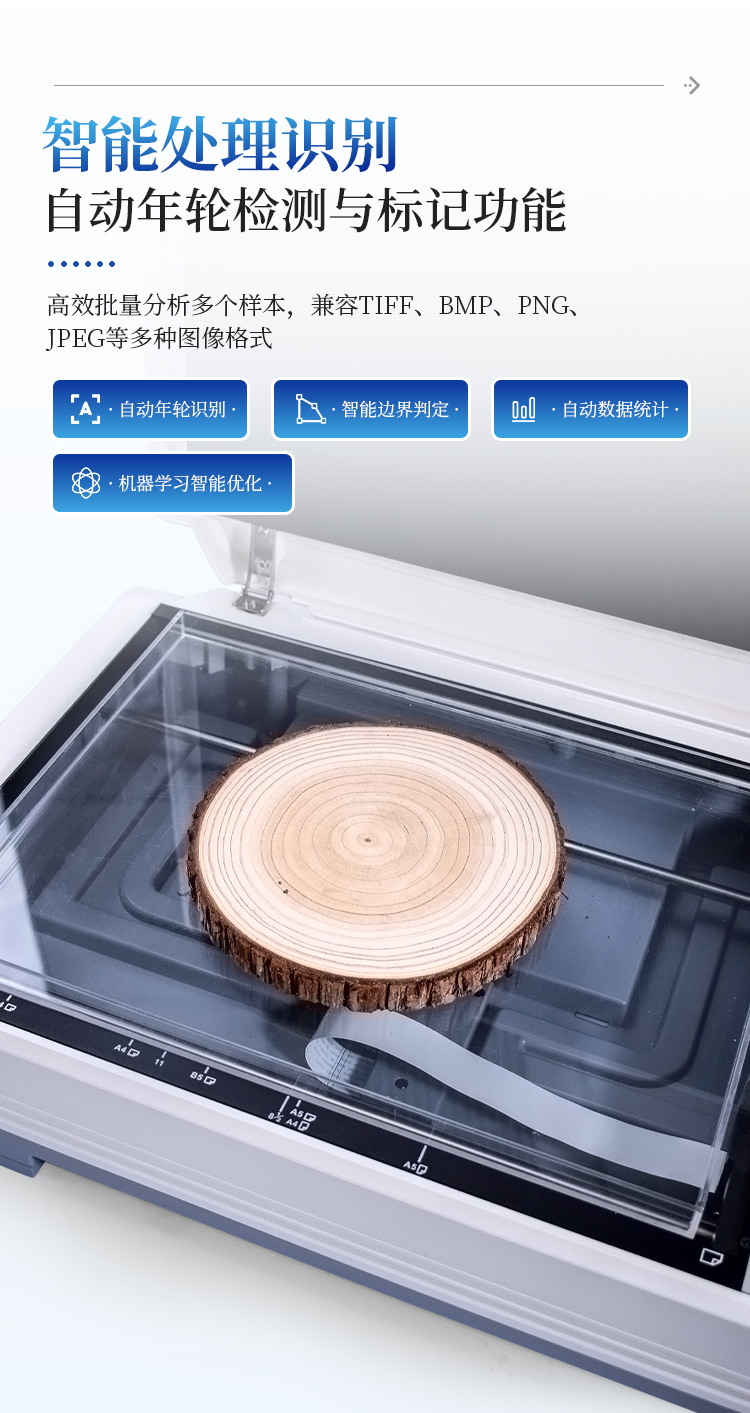 年轮分析仪
