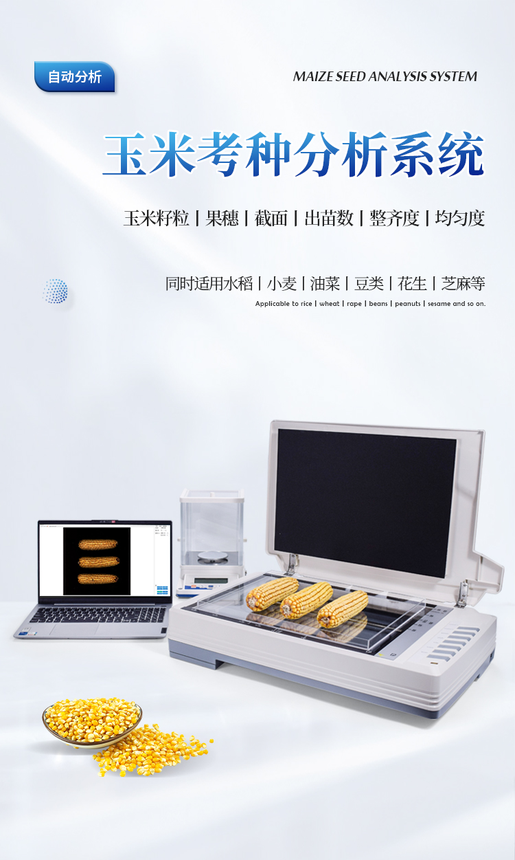 玉米考种分析系统