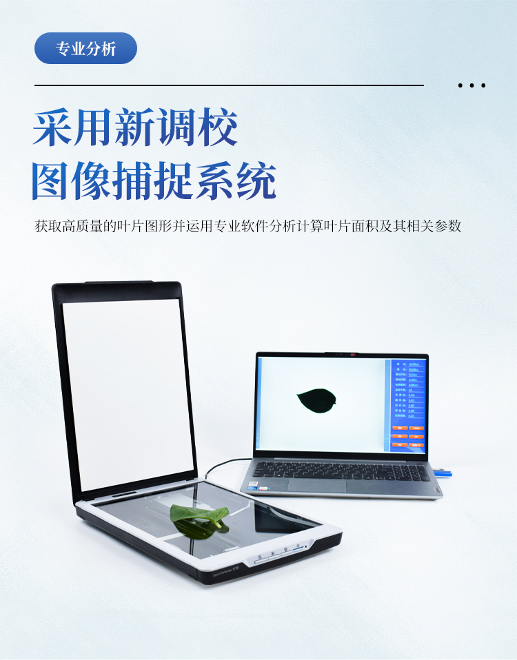 拍照式叶面积仪 拍照式叶面积仪