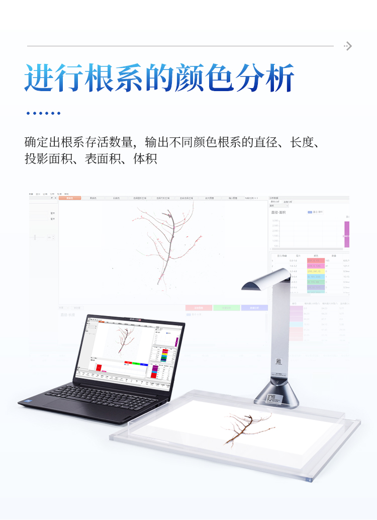 植物根系扫描系统 植物根系扫描系统